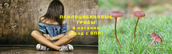 ешки Магадан